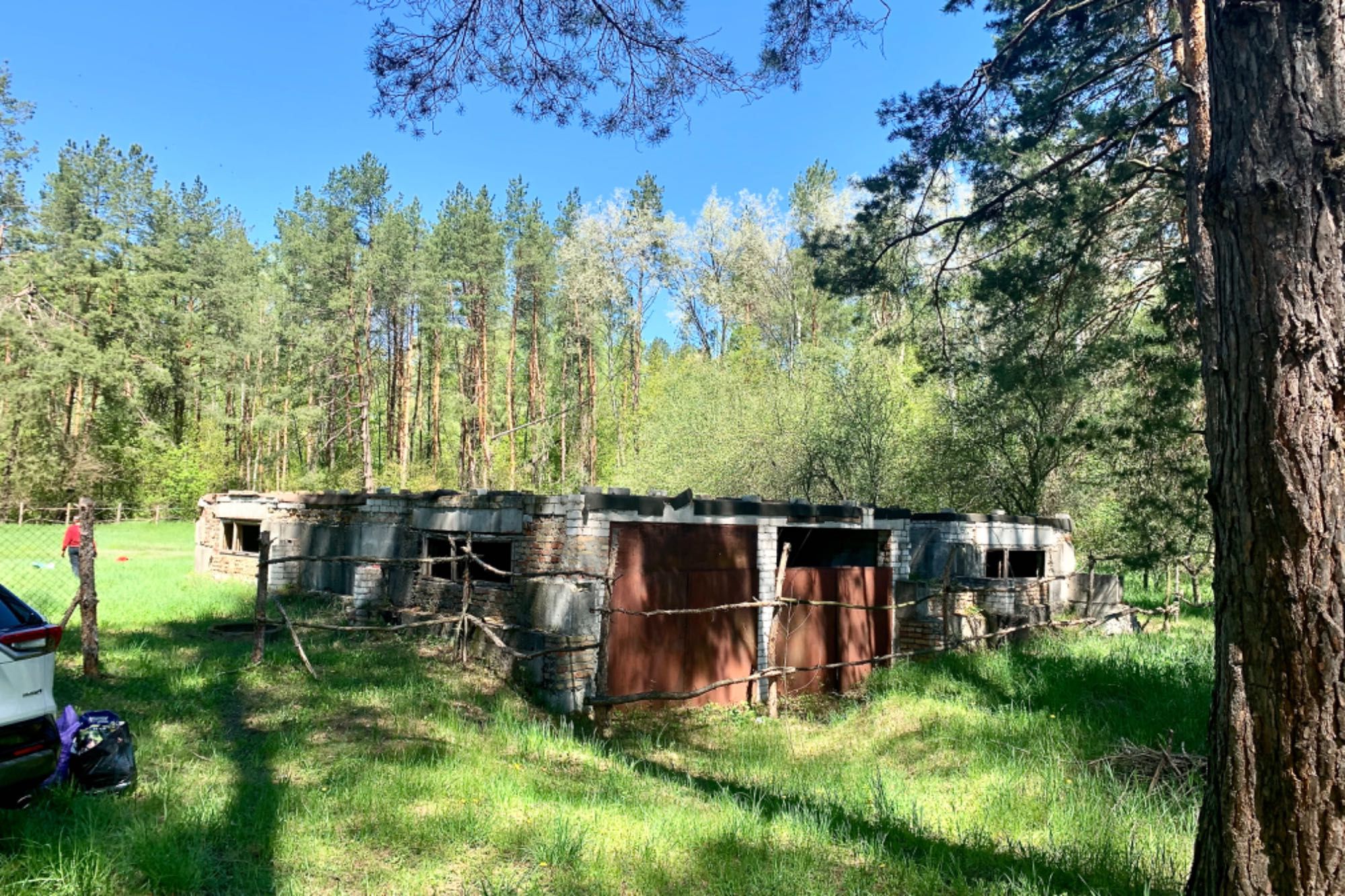 Продам ділянку в сосновому лісі неподалік р. Дніпро