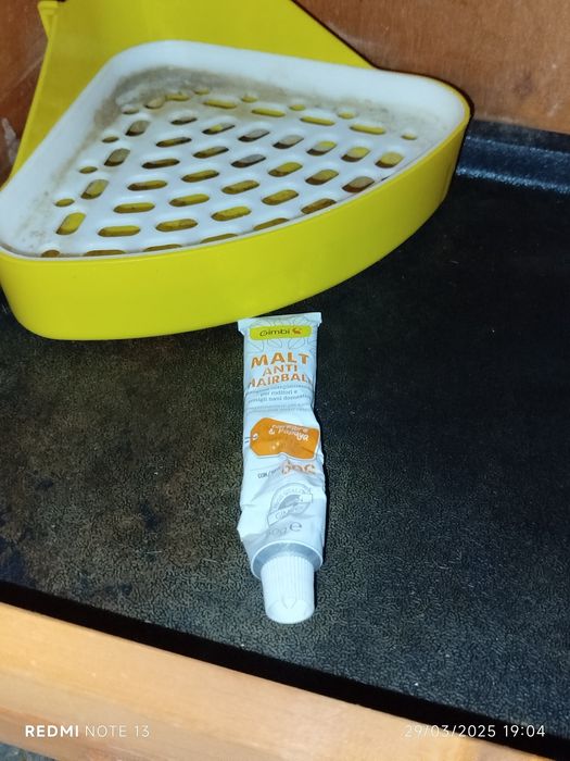 Coelheira de madeira