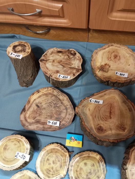 Срізи деревини з різних порід.
