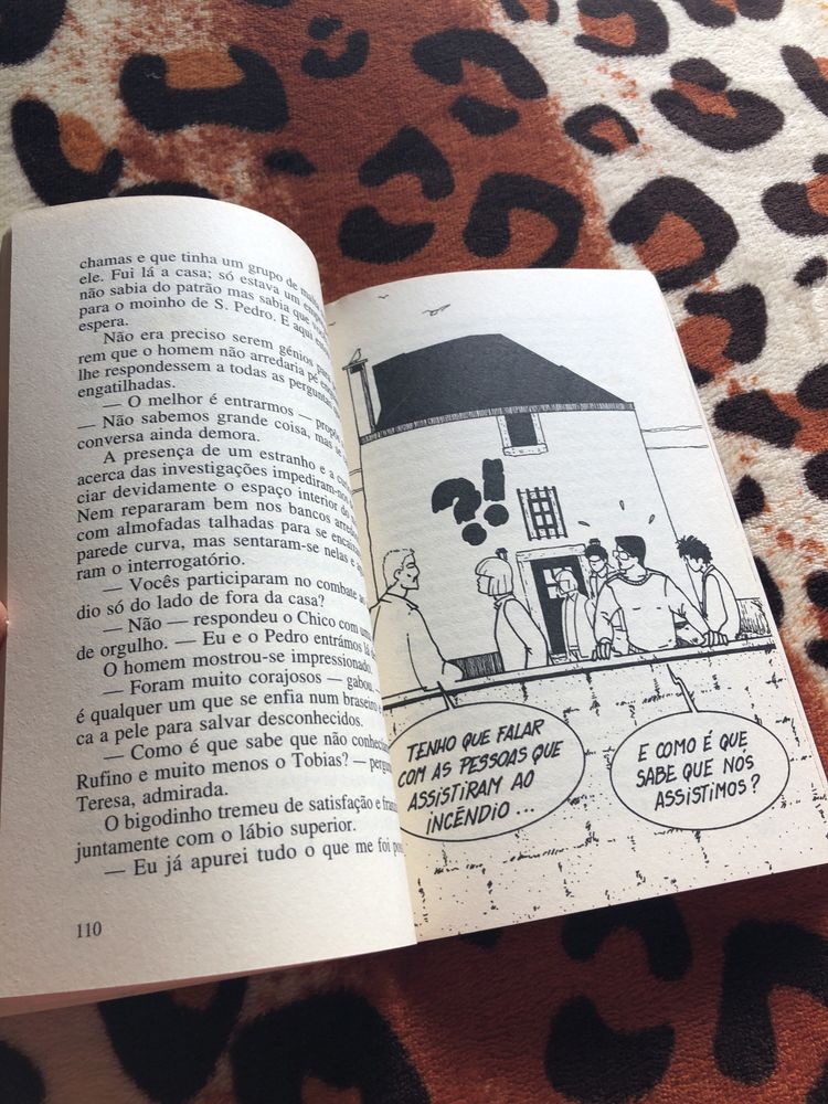 Livro de Uma Aventura no Castelo dos Ventos de Ana Maria Magalhaes