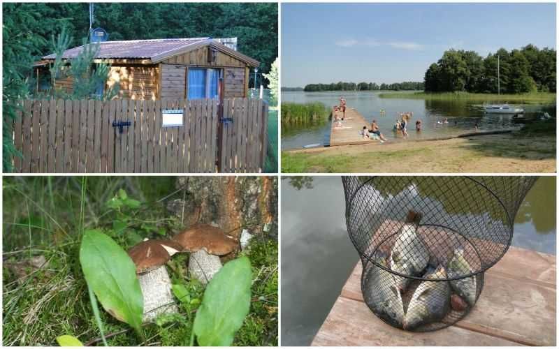Domek Jeziora Las  Spokój Cisza   Ścieżki rowerowe Lato