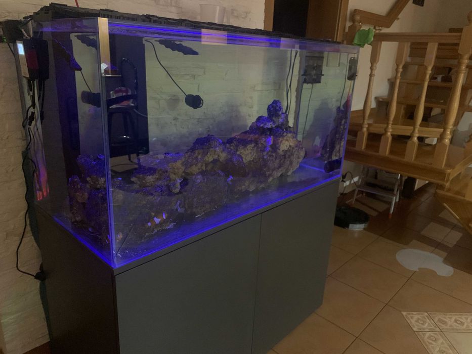 Akwarium morskie 500l optiwhite, szafka, sump, lampy, full osprzęt