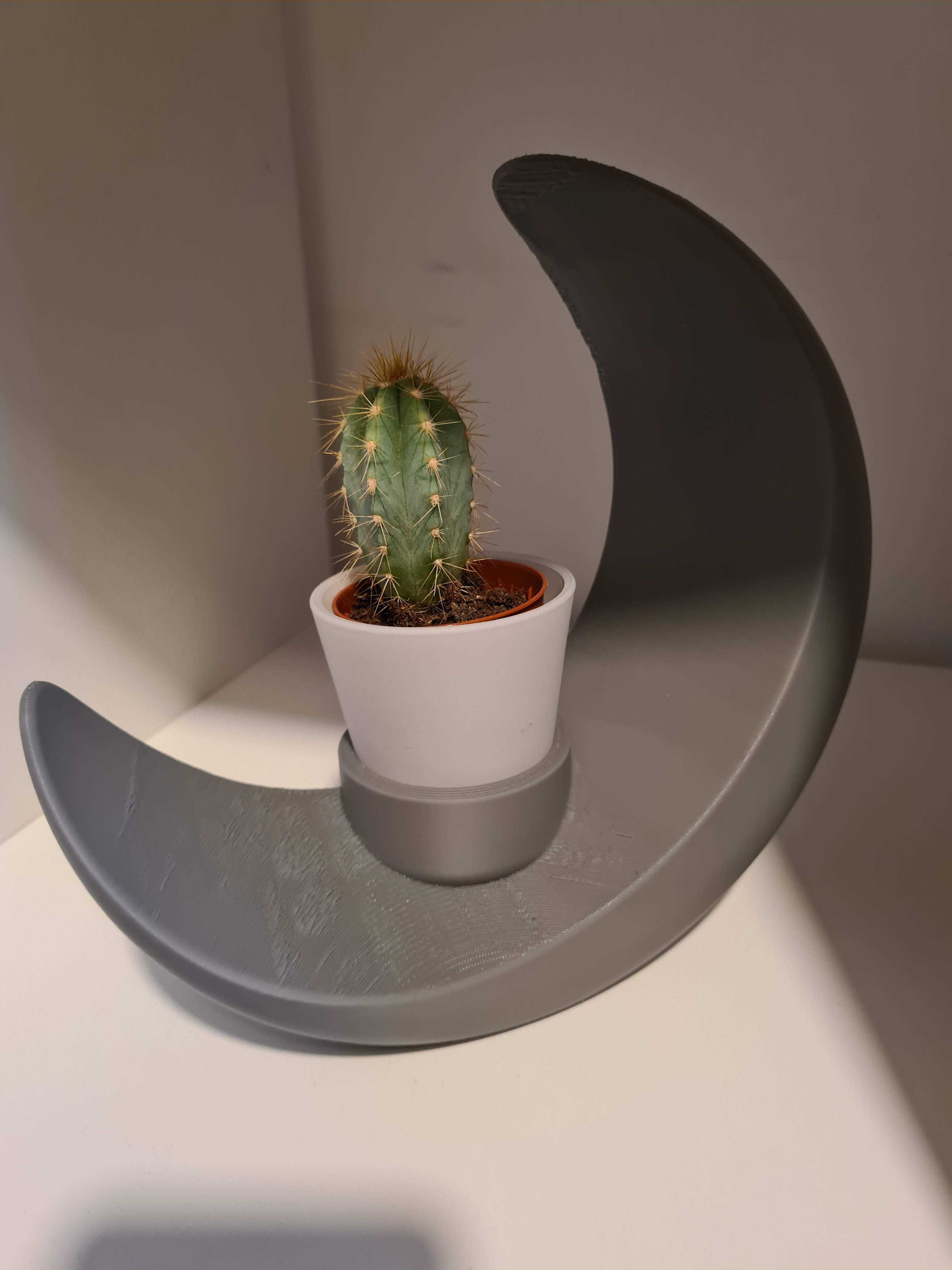 Decore a sua casa com este objeto unico em forma de lua.