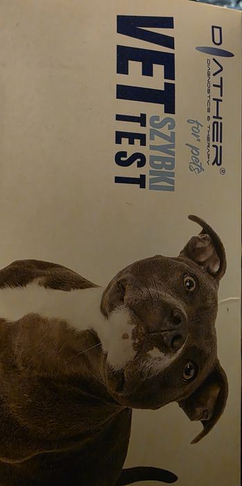 Szybki test na boreliozę dla psa