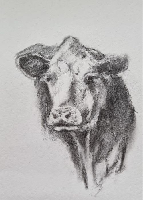 Krowa rysunek do kuchni vintage styl