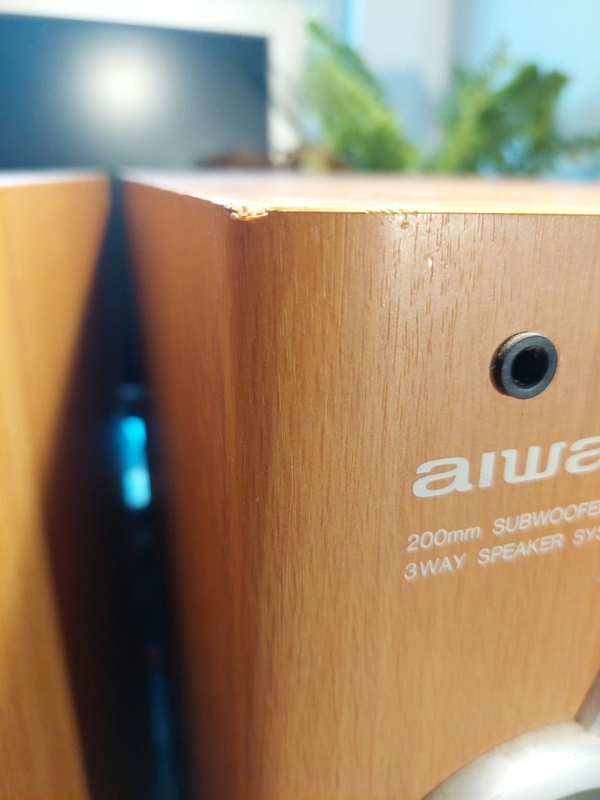 Głośniki Aiwa SX-WNH81