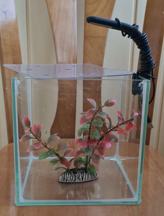 Аквариум для рыбок 5,8л + фонарик