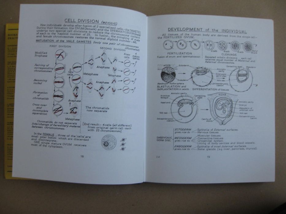 Ilustrated Physiology de McNaught and Callander