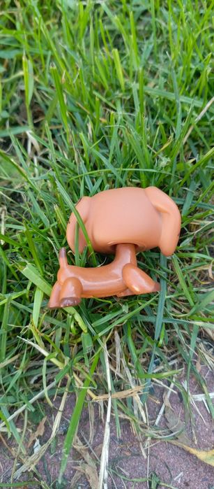 Lps jamnik roza unikat