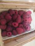 maliny 10pln 250g