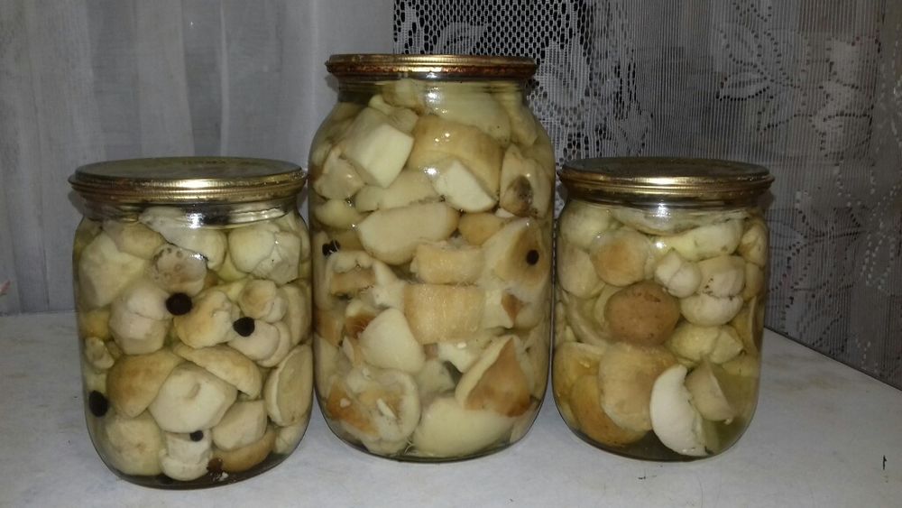 Маринованные грибы
