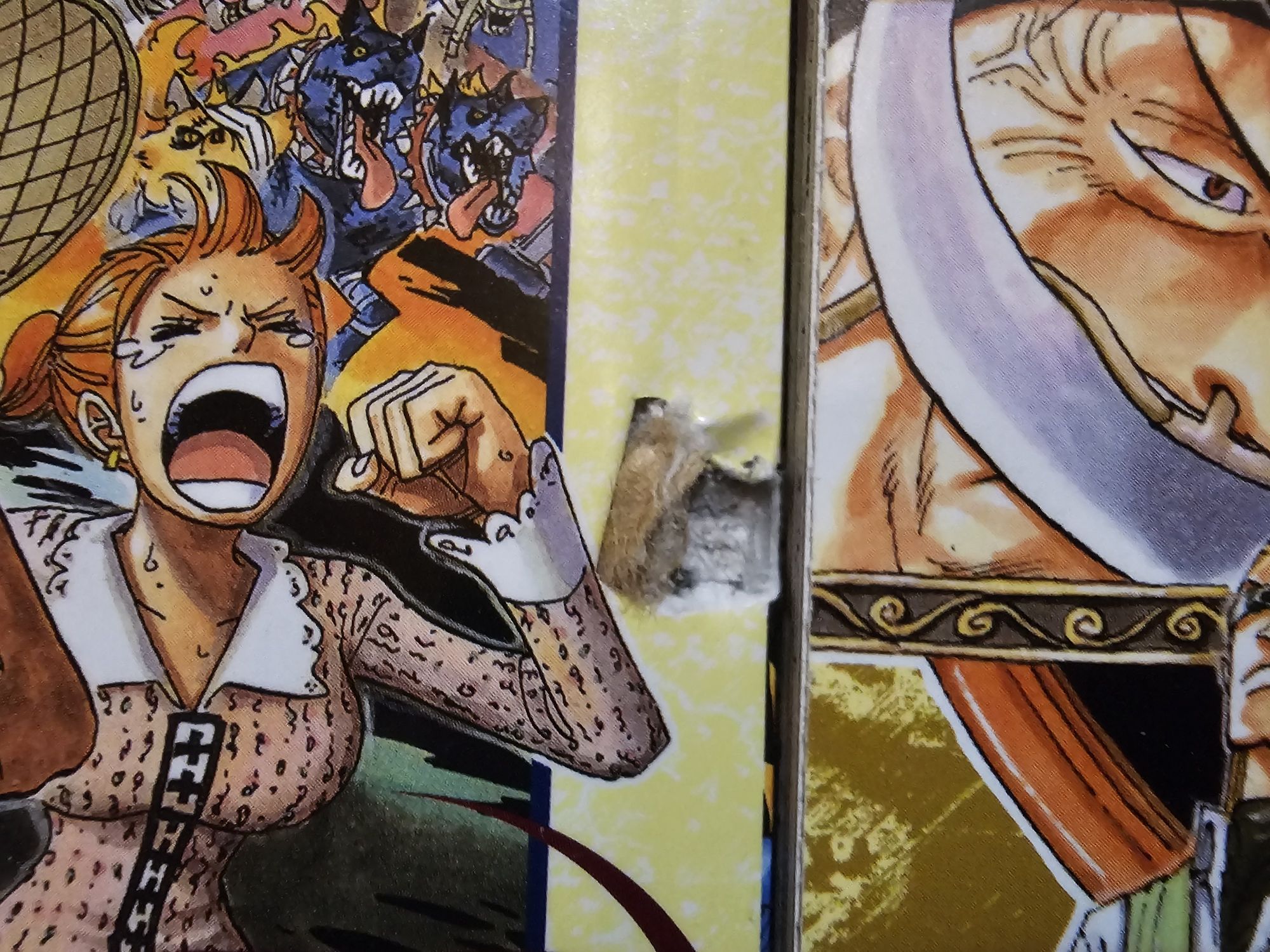 One Piece Volume 45 e 46 EN