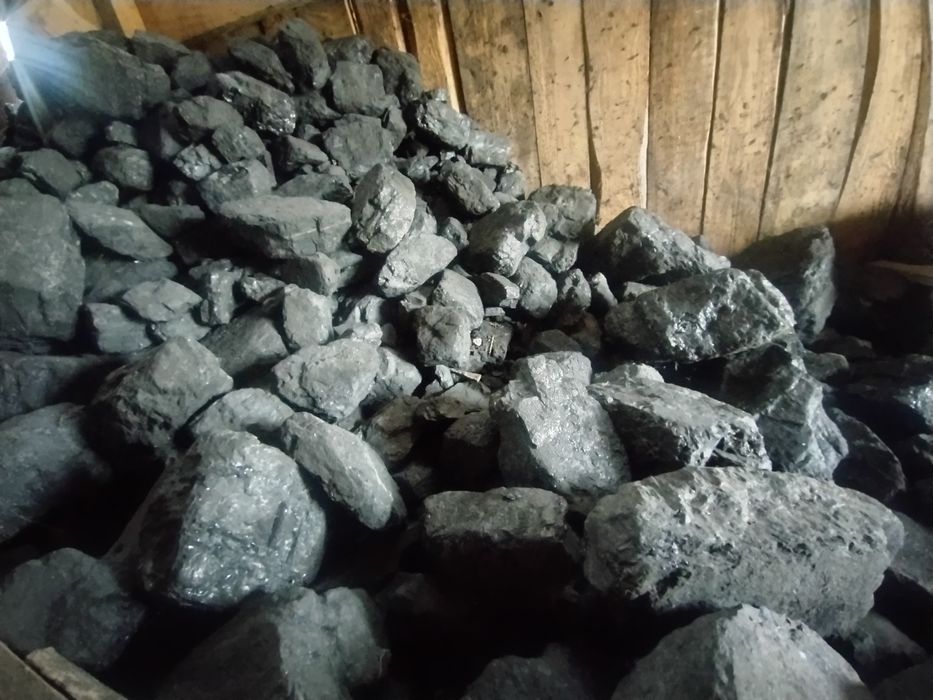 Węgiel kamienny Piast