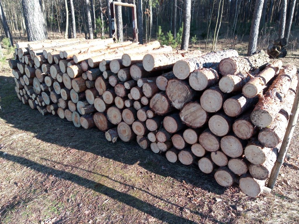 Drewno opałowe, kominkowe, sosna, opał, papierówka - 120 zł/mp