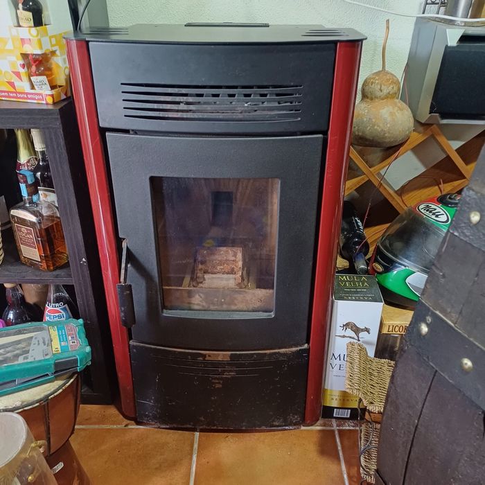 Salamndra em bom estado