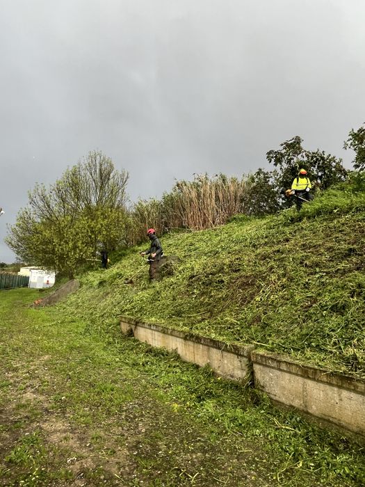 Limpeza de terrenos
