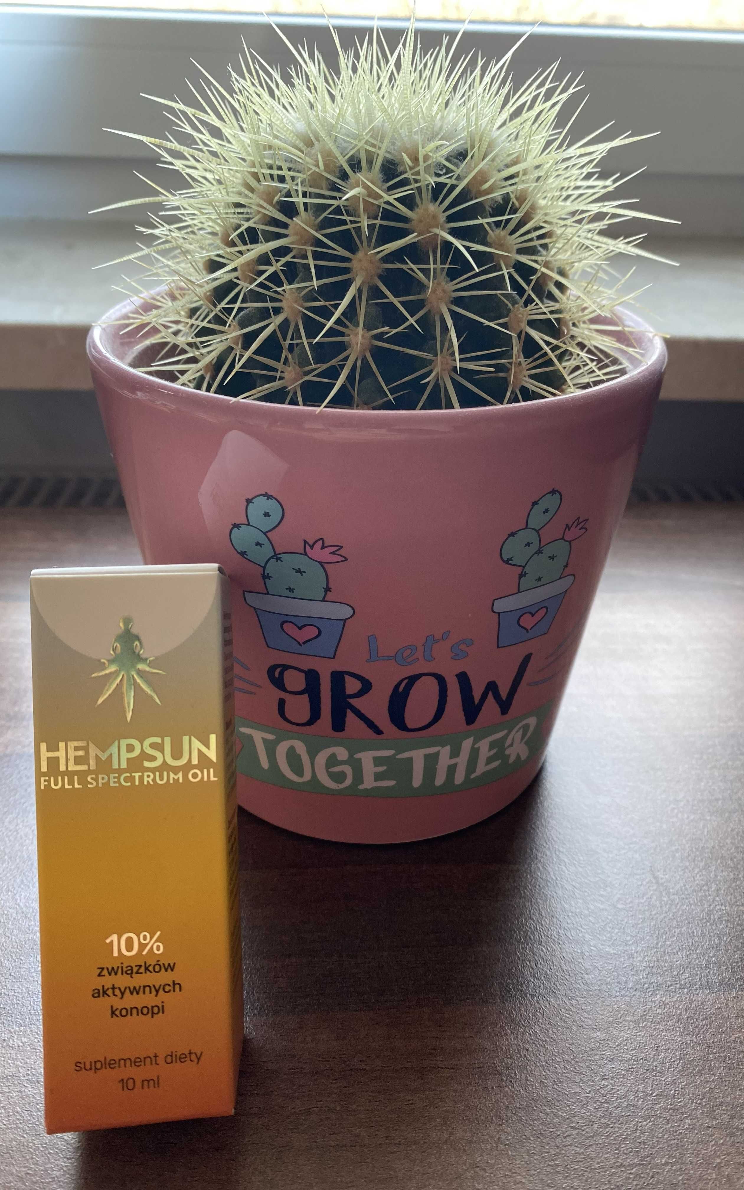 Olejek CBD Hempsun Full Spectrum 10%
