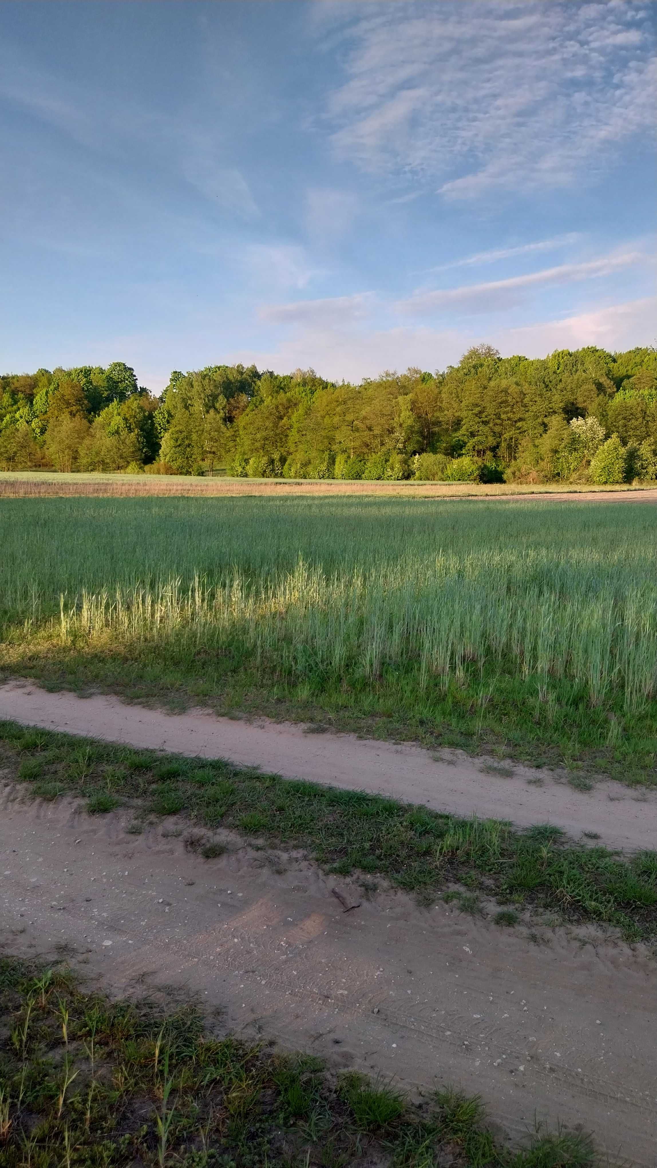 Działka nad rzeką Wartą w dolinie