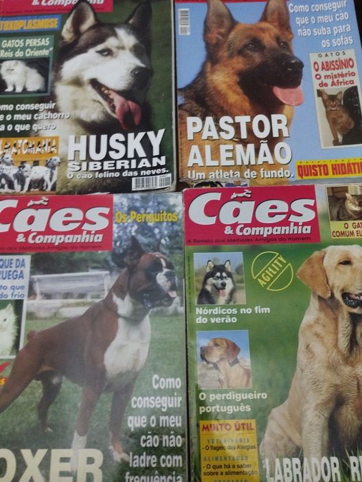 Revistas cães e companhia