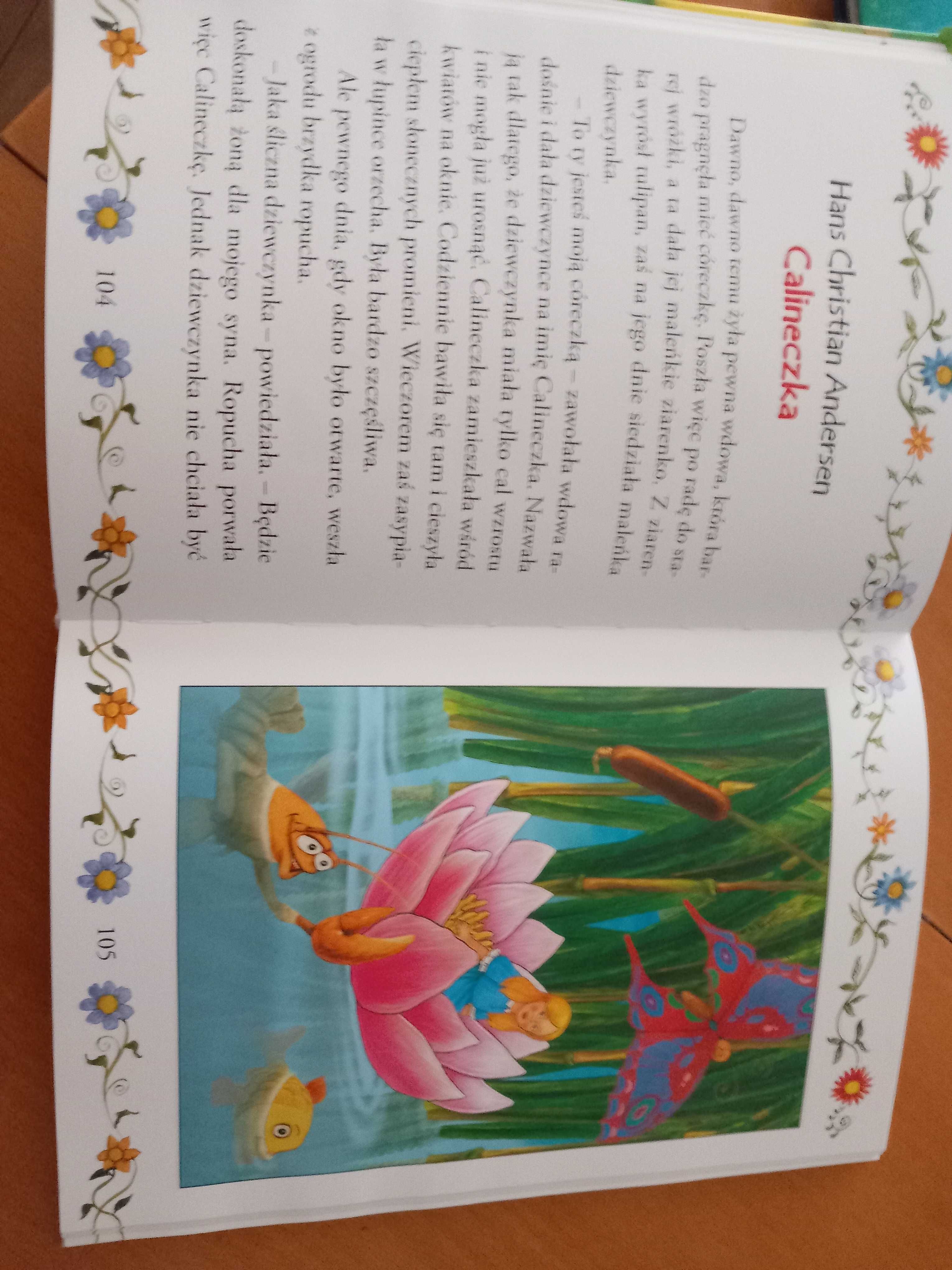 Książki. Piękna. Anna i Elsa. Bajki.