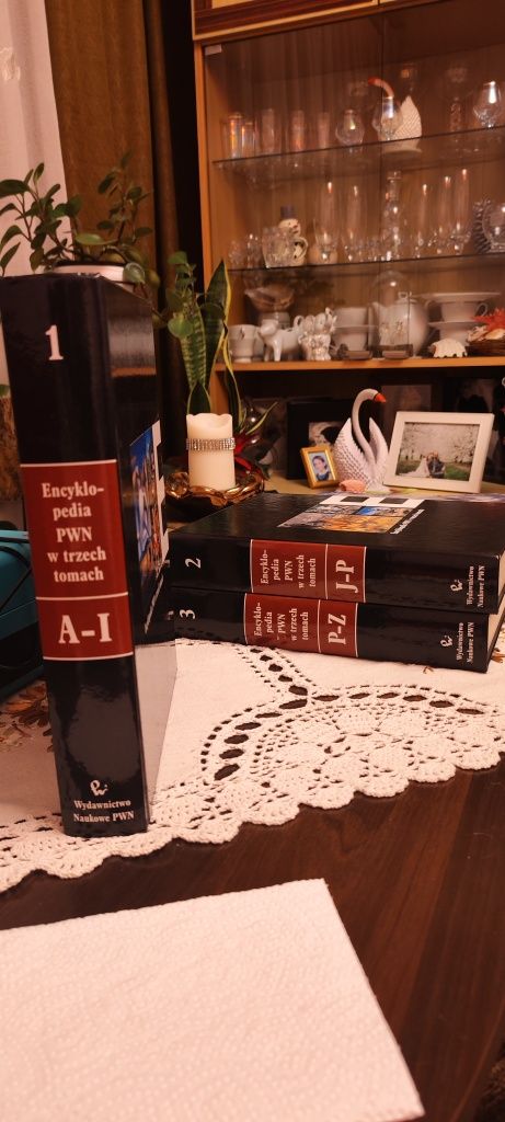 Encyklopedia PWN w trzech tomach