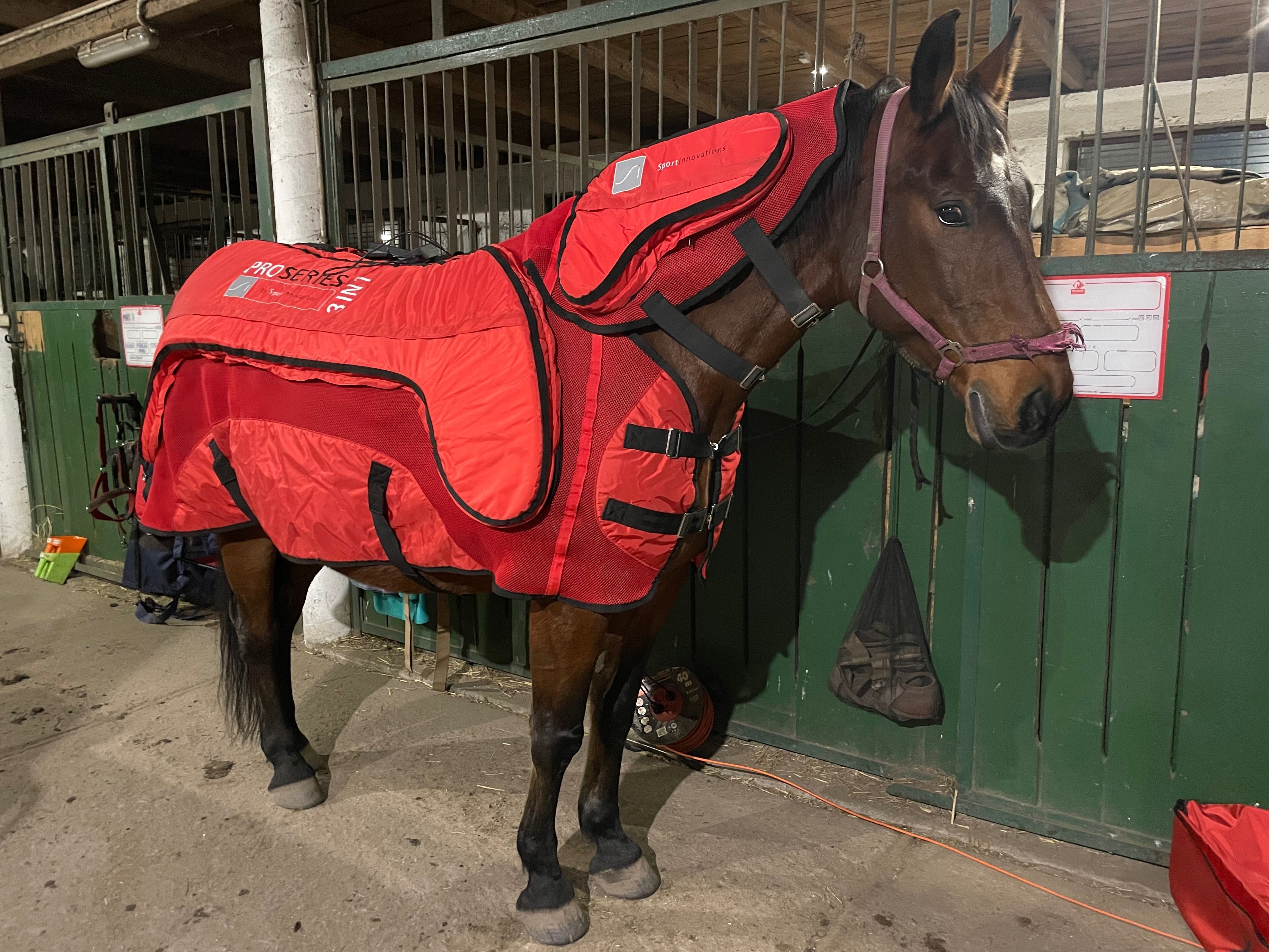 Derka terapeutyczna PEMF ProSeries 3in1
