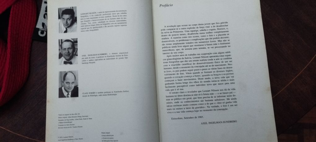 Como nasce uma criança