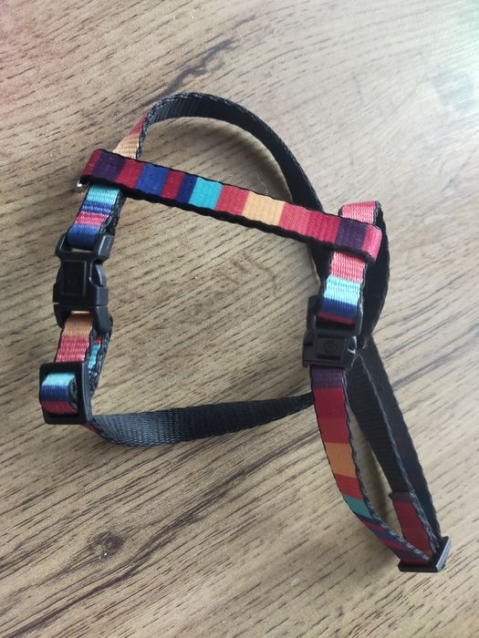 Szelki kocie dla kota kotka