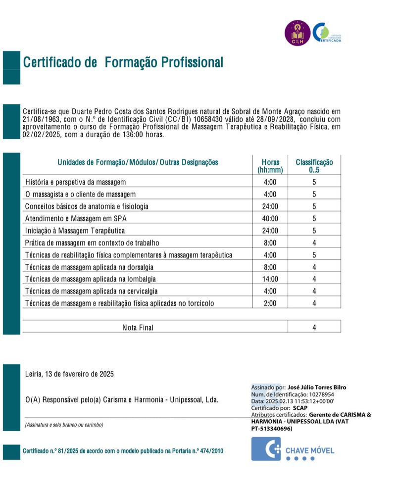Massoterapeuta, Massagista Terapêutico