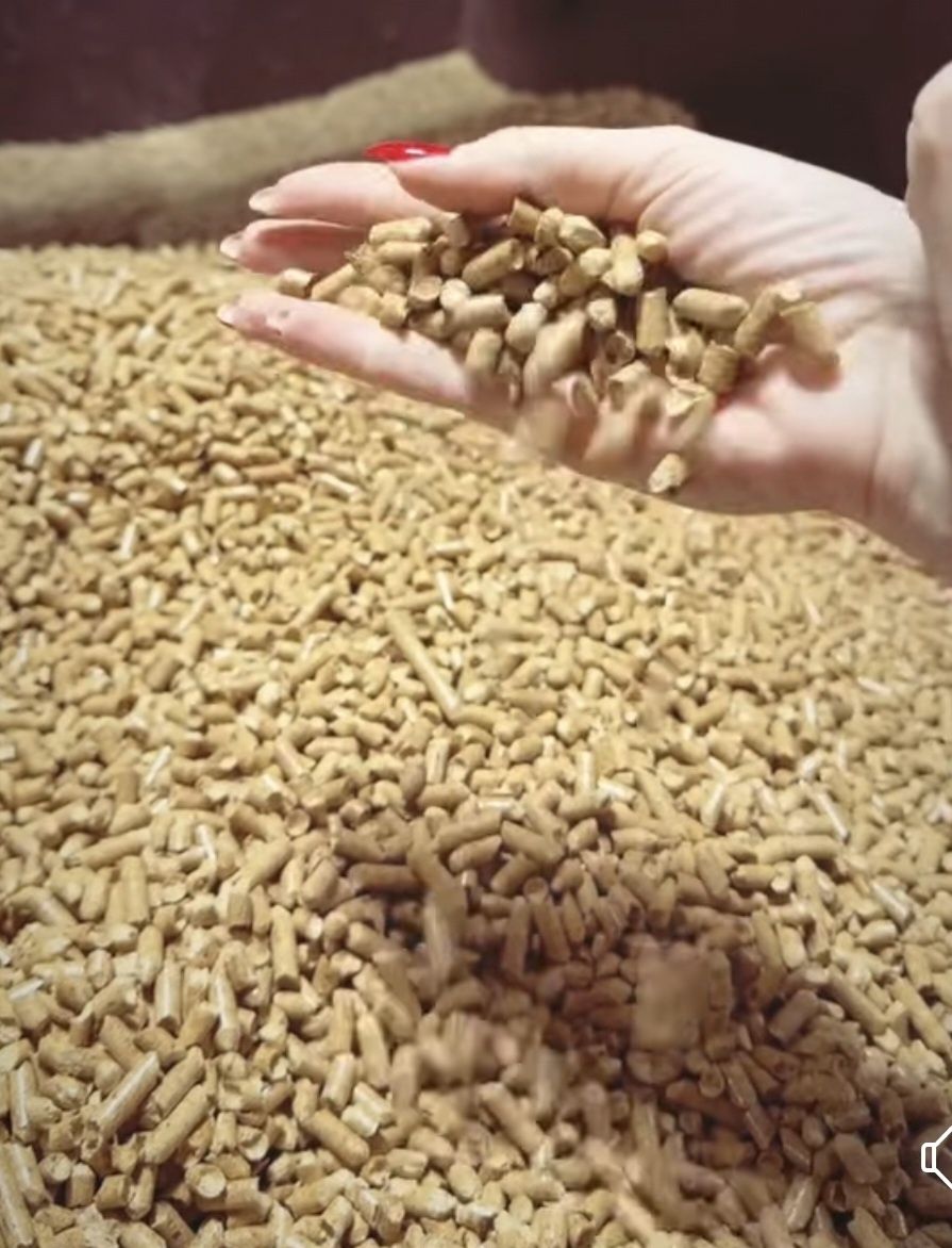 Brykiet dębowo bukowy pellet