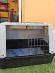 Caixa de transporte cães
