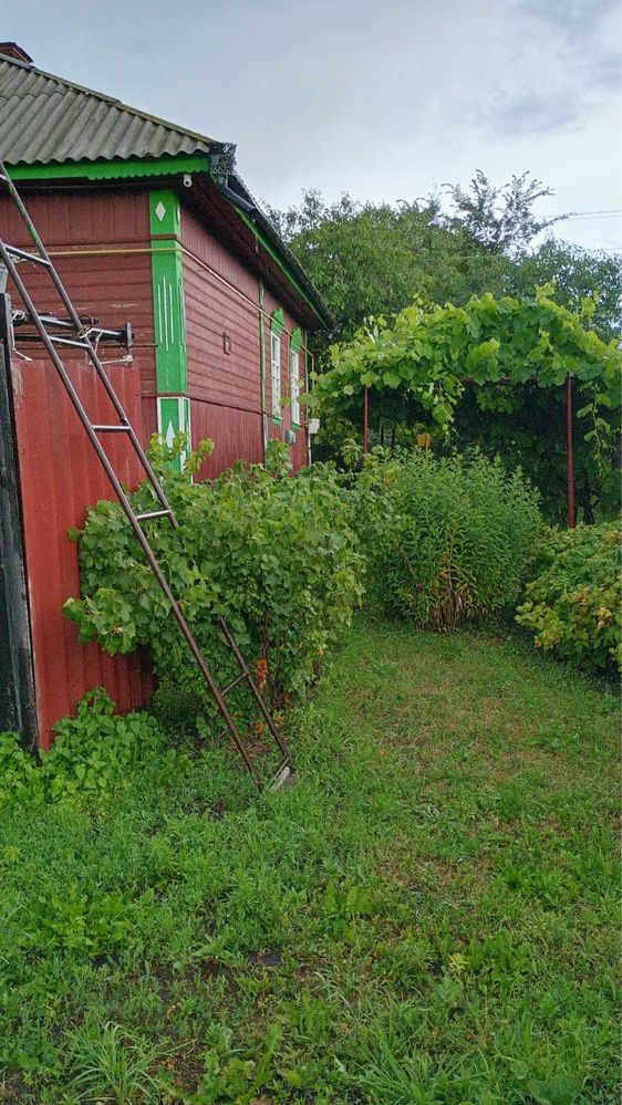 Продається будинок в Ніжинському р-ні