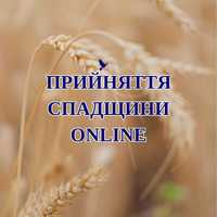 Прийняття спадщини продовження строків оформлення спадку