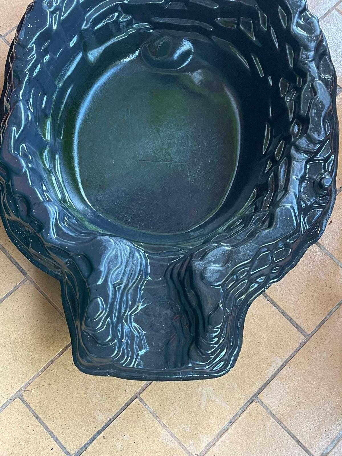 aquário tartaruga
