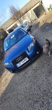 Audi A3 8P 2.0 Tdi