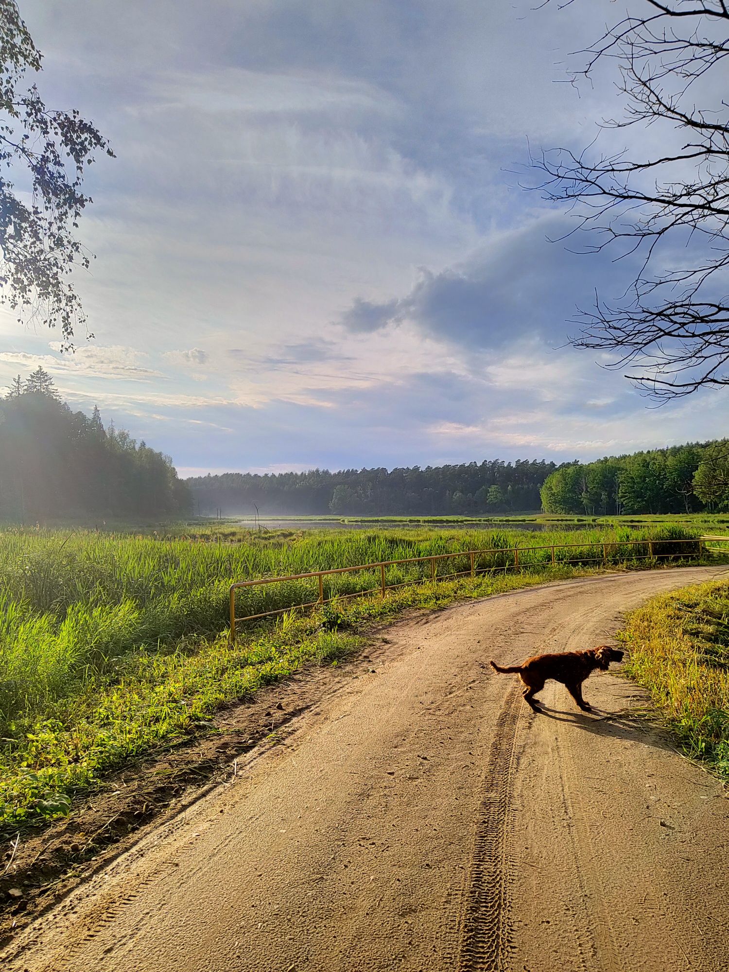 WOLNE od 7.08  Mieszkania JEZIORO Kortowskie OLSZTYN