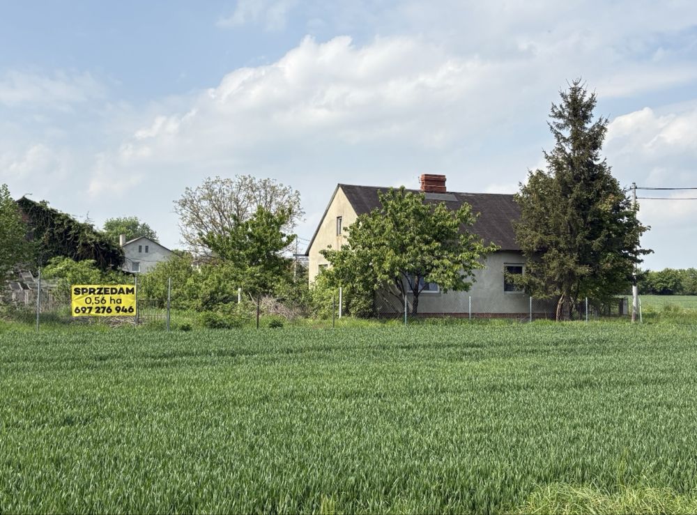 Sprzedam działkę z domem .