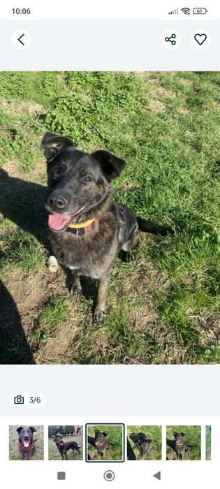 Pokochaj Aziego odda ci serce