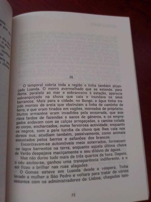 Natureza Morta - José Augusto França