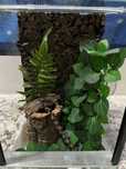 Terrarium 20x20x30 Zestaw