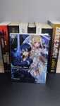 Sword art online 18
