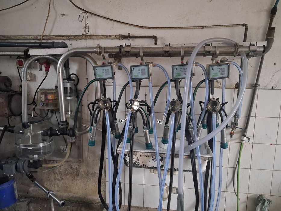 Dojarka przewodowa Westfalia, stimopuls