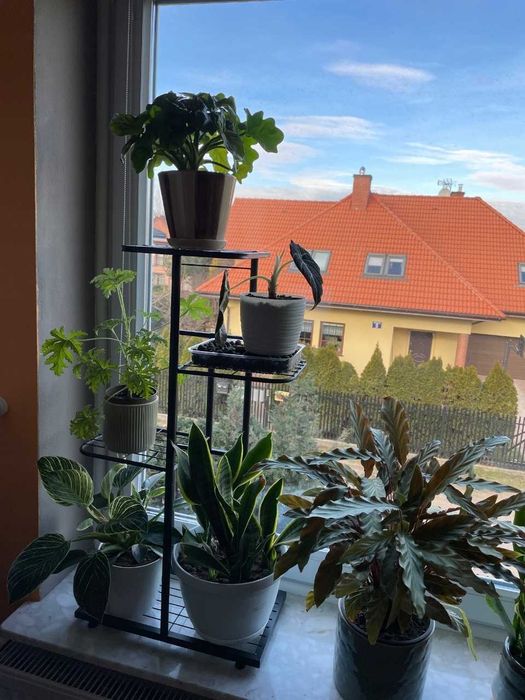 Kwietnik Metalowy 4-poziomowy Piętrowy Stojak Doniczki Rośliny Kwiatki