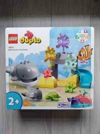 LEGO Duplo 10972 Dzikie zwierzęta oceanów