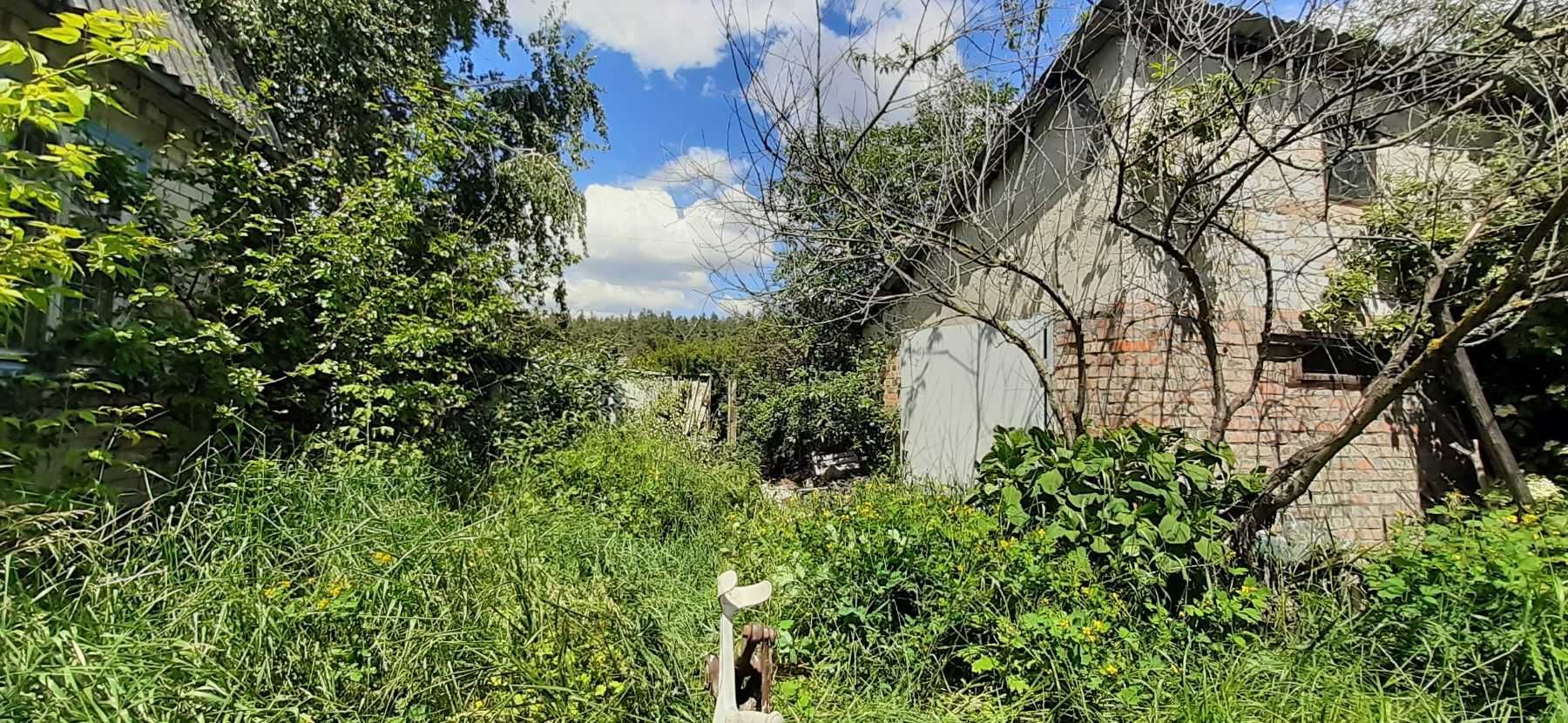 Дача. Ділянка з видом  на каналі Дніпра.