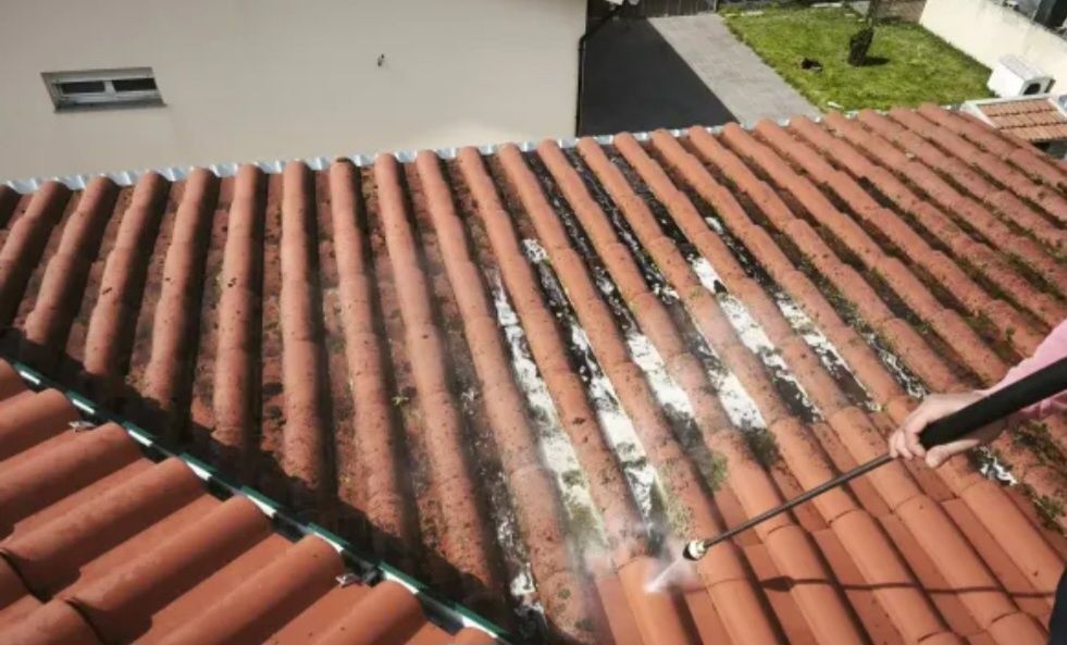 Telhados terraços caleiras muros etc...