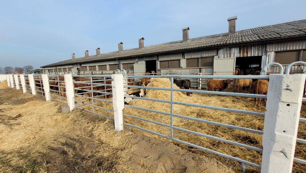 Panele wygrodzeniowe dla bydła mięsnego przegrody texas panel