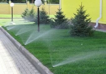 Автополив газона ,стелем газон ,сеем