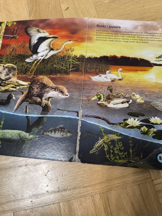 Albik Świat zwierząt