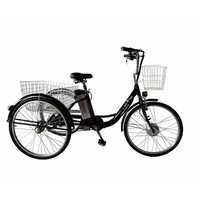 Электровелосипед дорожный трехколесный Kelb.Bike 24"